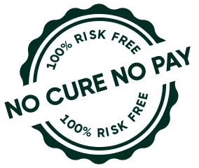 No cure, No pay